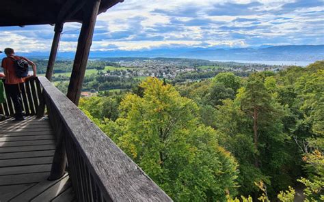 Loorenkopf observation tower Routes for Walking and Hiking